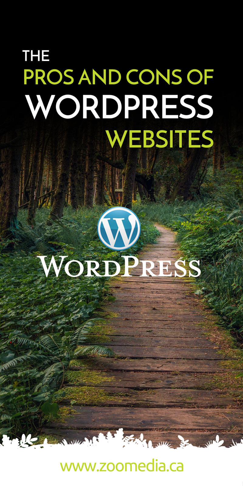 The Pros and Cons of WordPress Websites