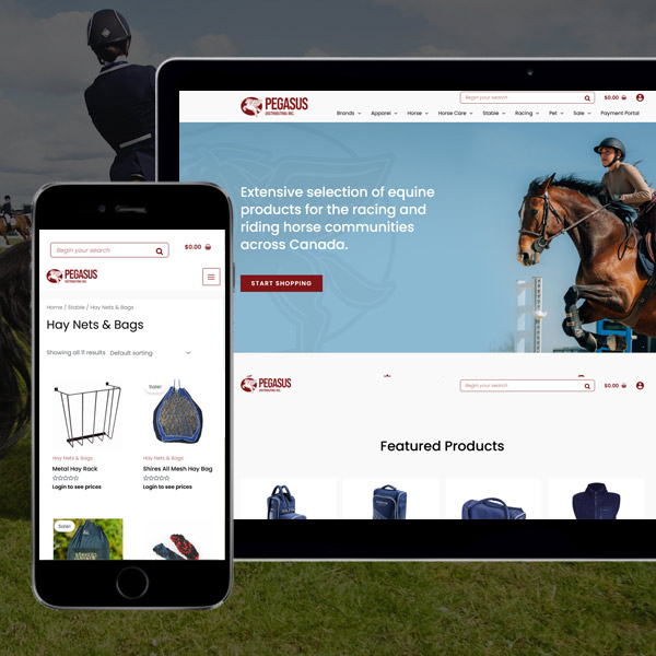 Custom Hydrid and Template Web design London Ontario | ZOO Media Group